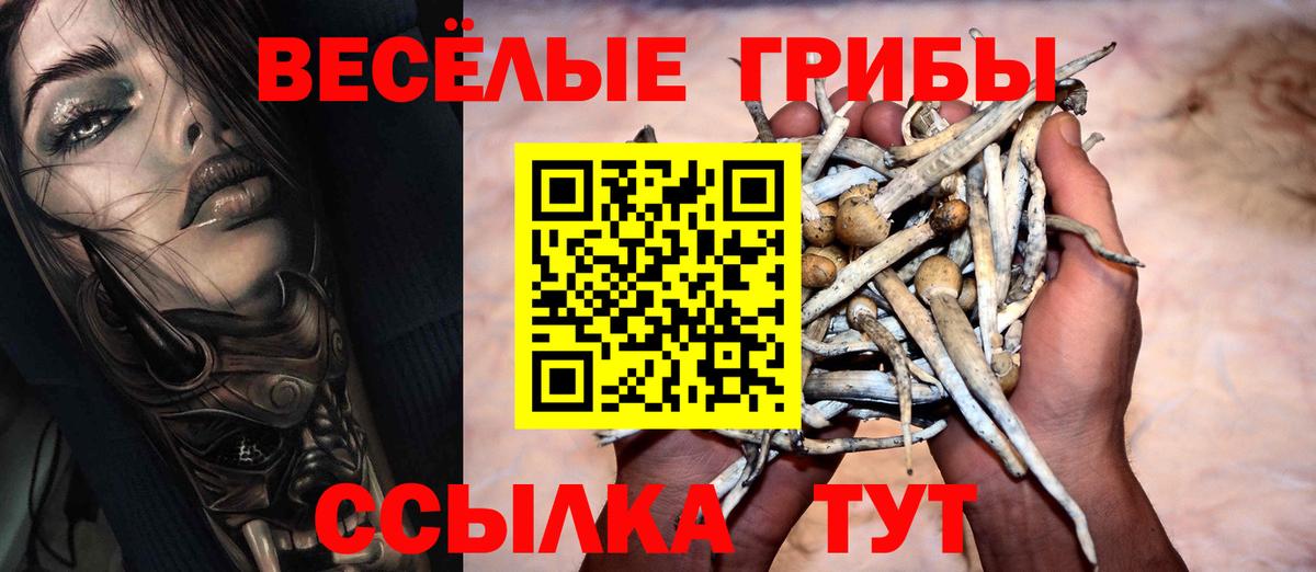 Югорск  Галлюциногенные грибы Magic Shrooms  Псилоцибиновые грибы Magic Shrooms  Вход с VPN 
